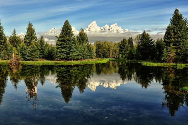 Cielo blu e lago in mezzo alla foresta verde