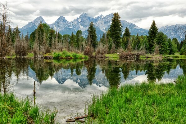 The beauty and silence of a forest lake and high mountains