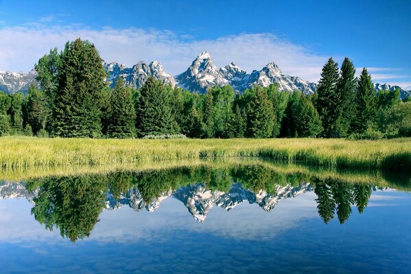 Reflection of the forest and mountains in the purest lake