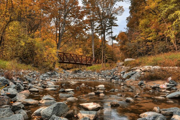 Goldener Herbstpark in Kanada