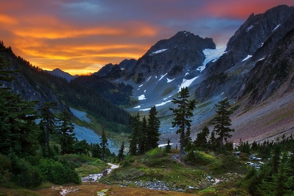 Vista del bosque de montaña al atardecer