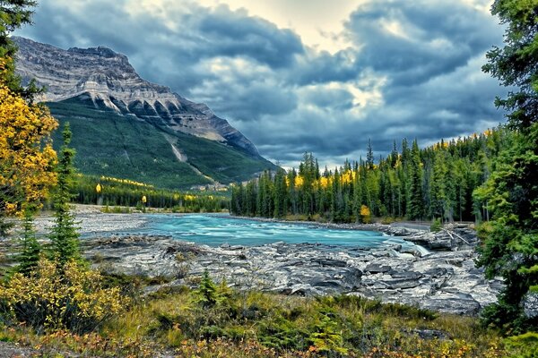 Paisaje de montañas, bosques y un pequeño río en el parque nacional Jasper