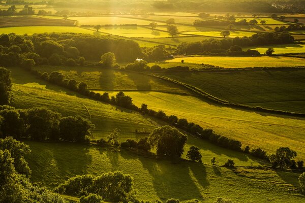 Die magische Natur Englands bei Sonnenschein