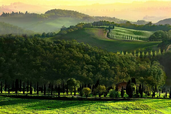 Route sinueuse sur les collines toscanes