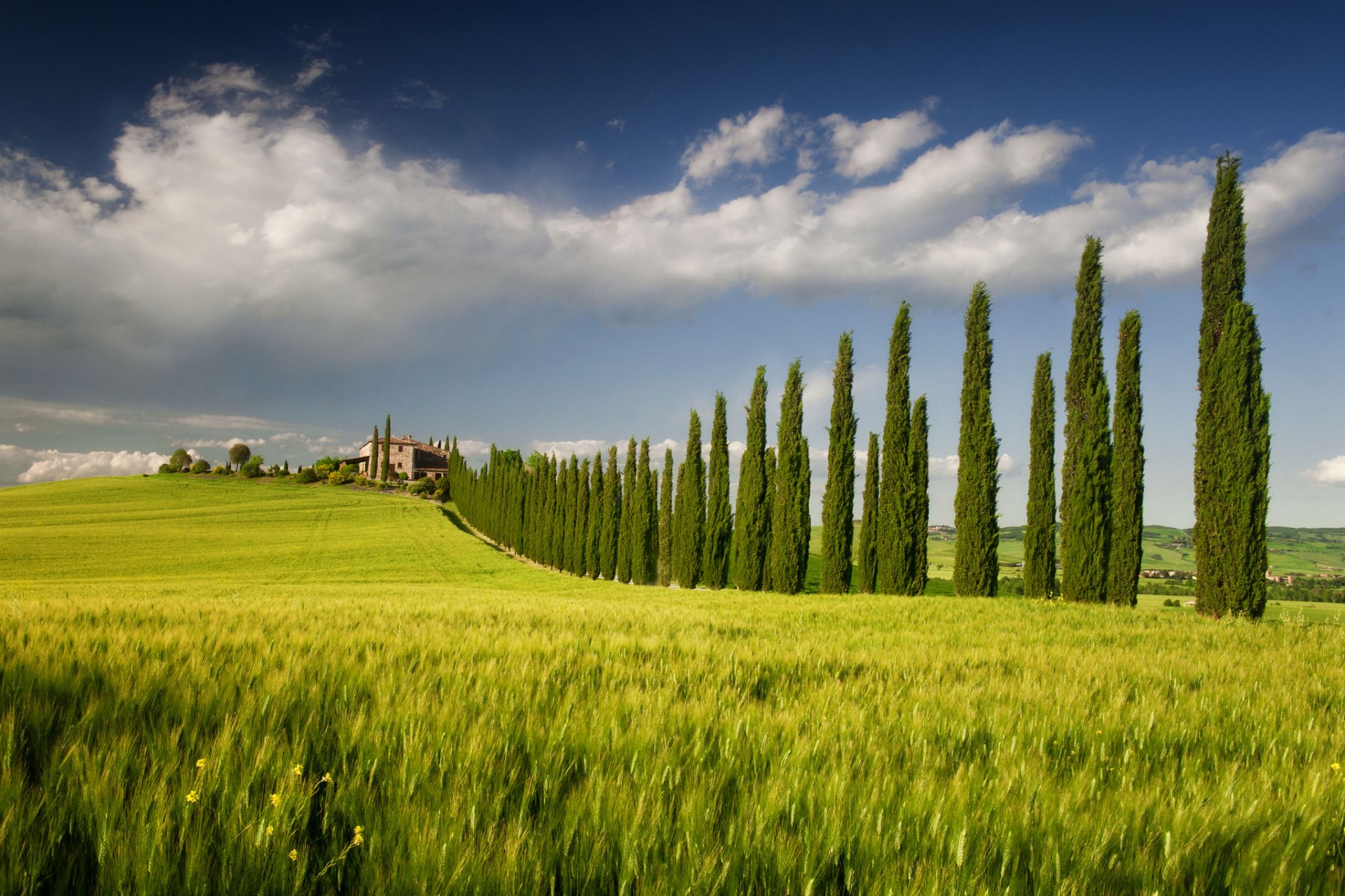 italien kampanien feld bäume haus himmel frühling