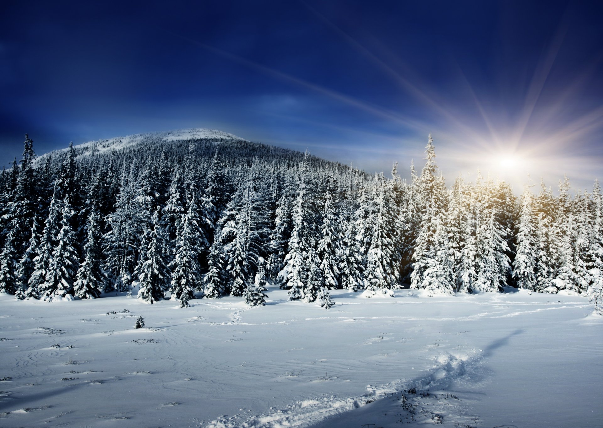 invierno bosque sol rayos nieve colina sombra