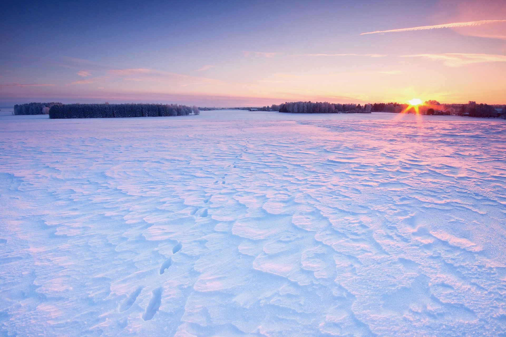 inverno campo neve impronte cielo sole alberi case