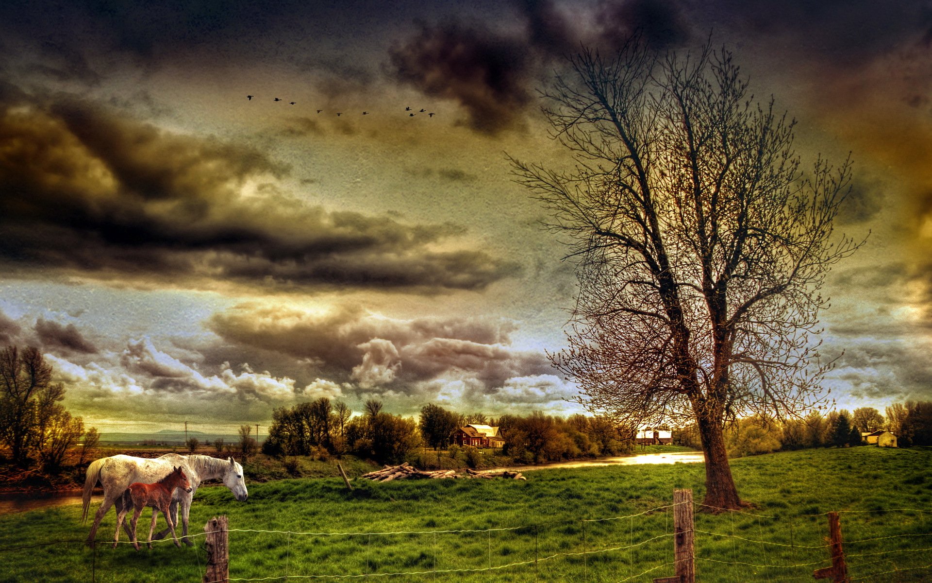 the field horses landscape style