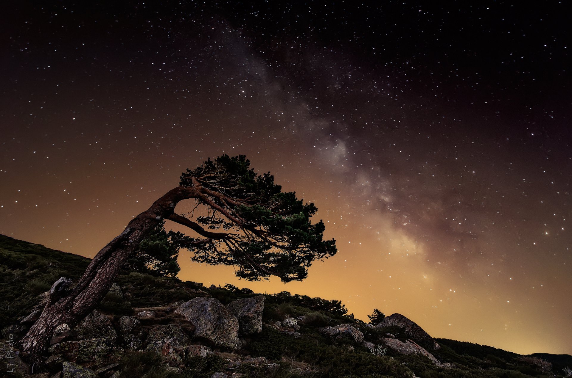 nuit étoiles voie lactée roches arbre pierres