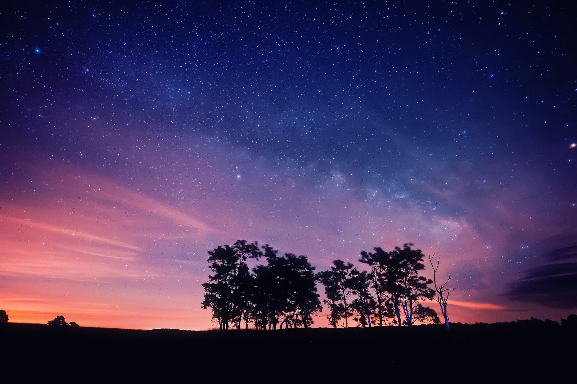 noche cielo estrellas árboles siluetas