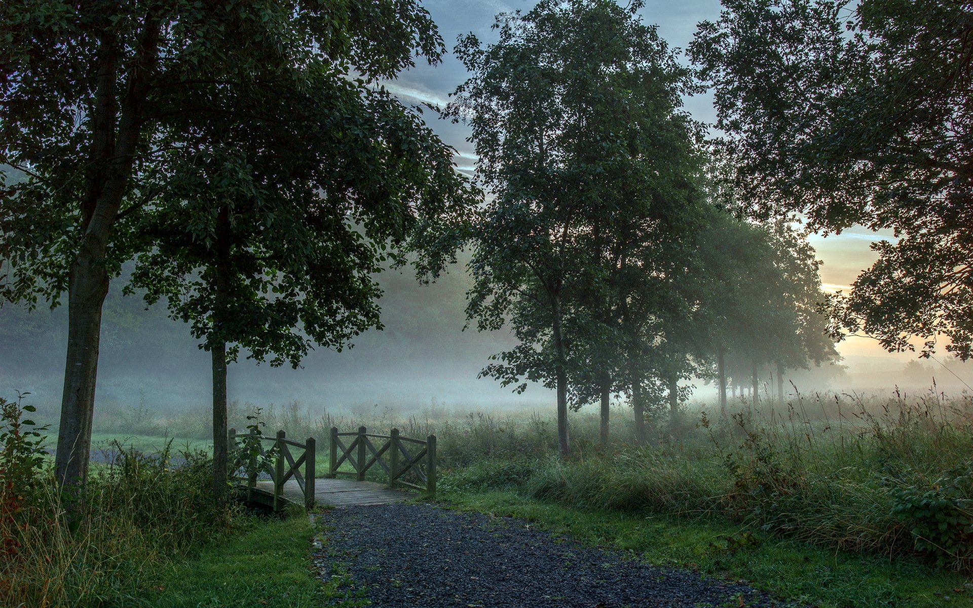 route pont matin paysage