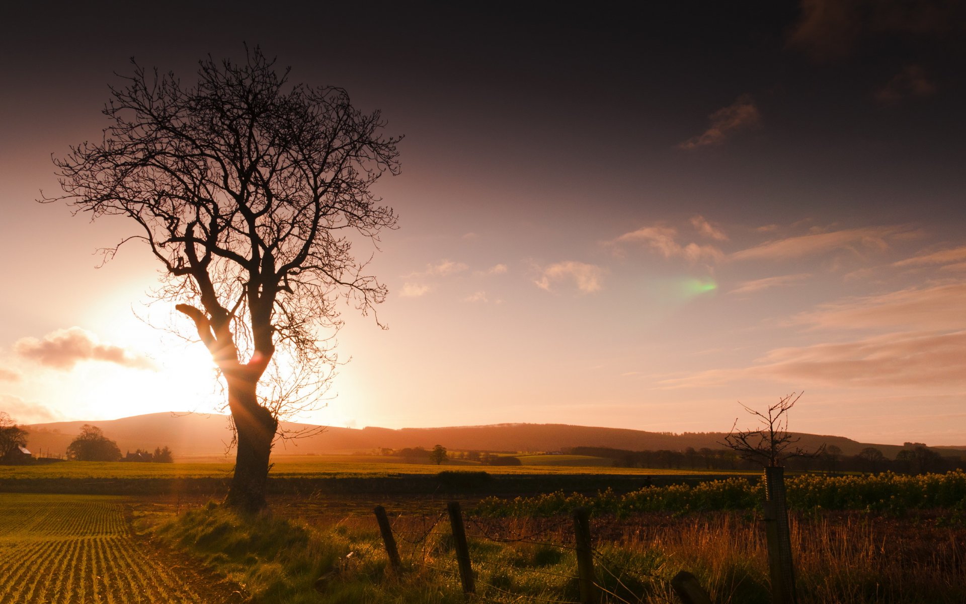 sonnenuntergang feld baum zaun landschaft