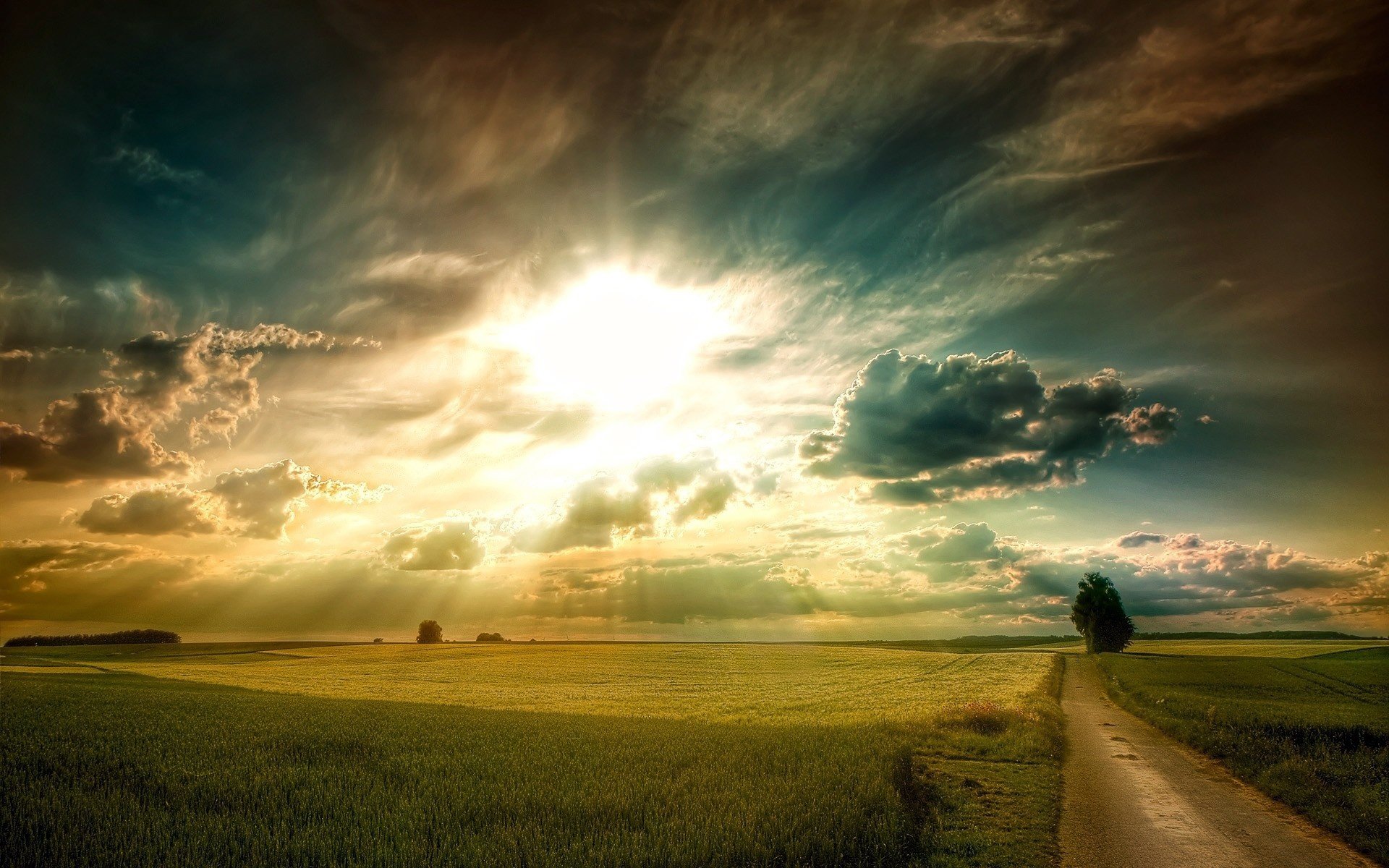 plain of the field grass road tree sky clouds sun rays light dawn sunset