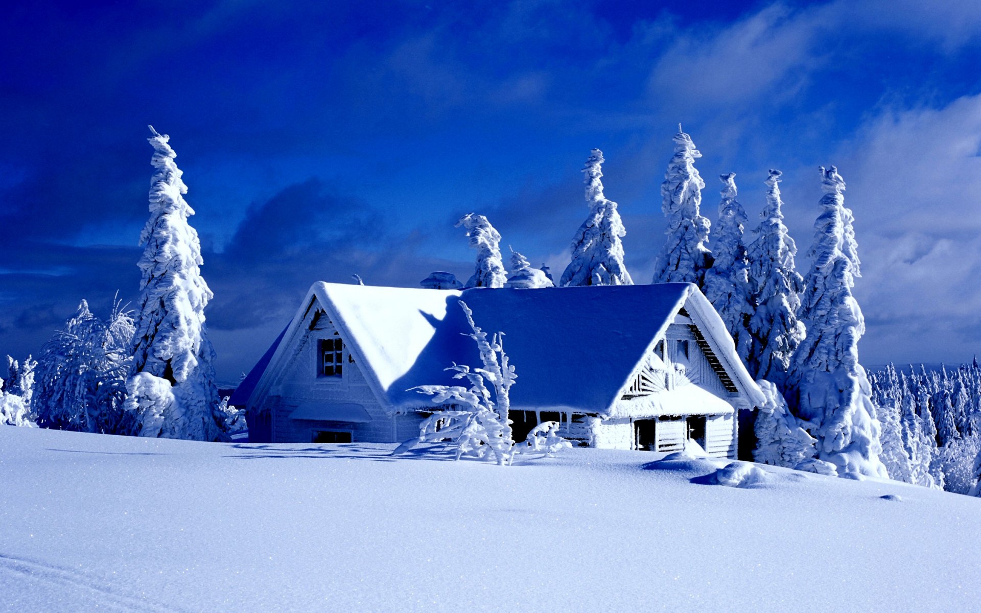 hiver neige sapins arbres buissons ciel nuages maison conte de fées