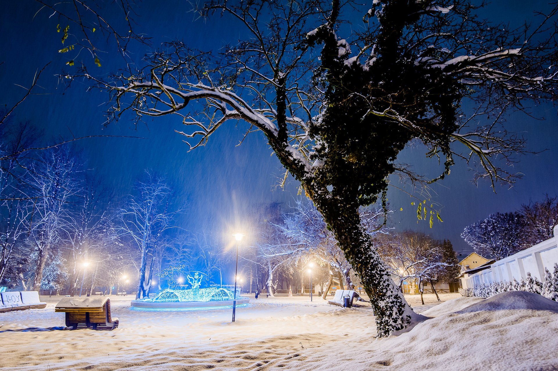 park zima śnieg drzewo światło ławki ławki drzewa miasto wieczór