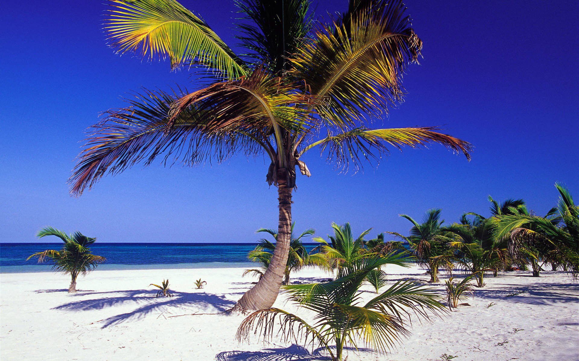 küste küste sand dara sommer ozean horizont blau klar himmel paradies