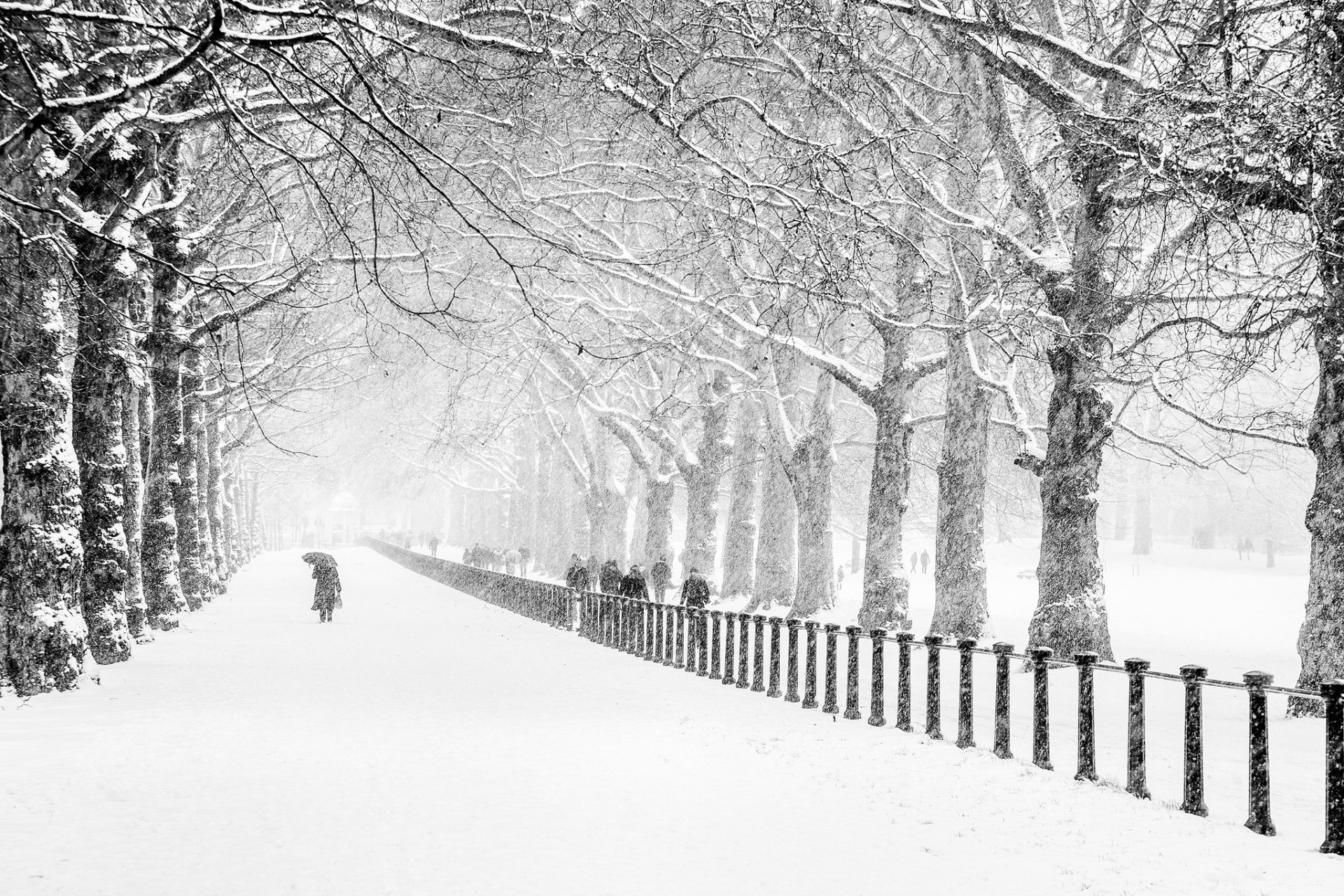 zima śnieg ludzie park miasto londyn droga drzewa