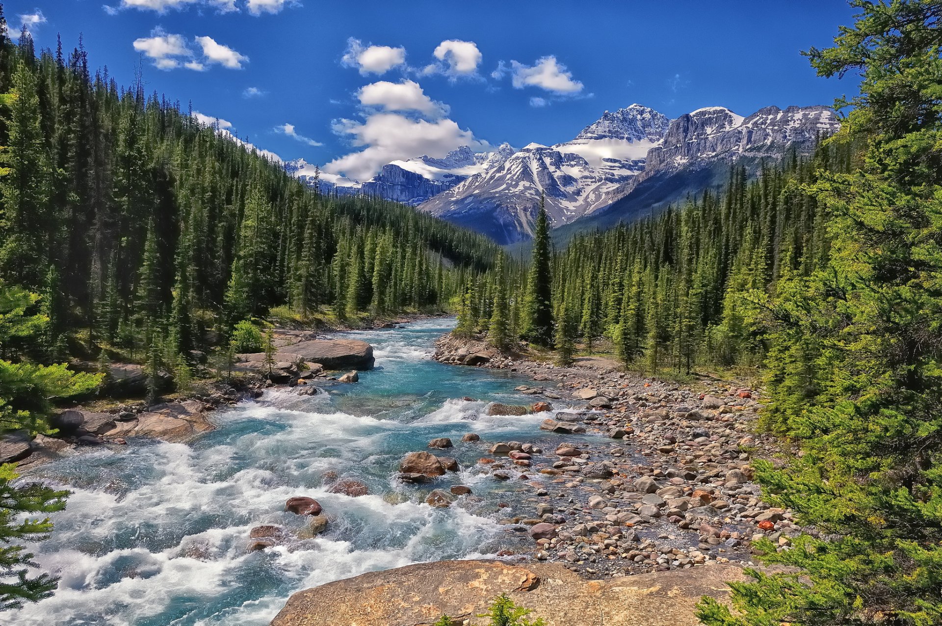 río mistaya parque nacional banff alberta canadá río montañas bosque