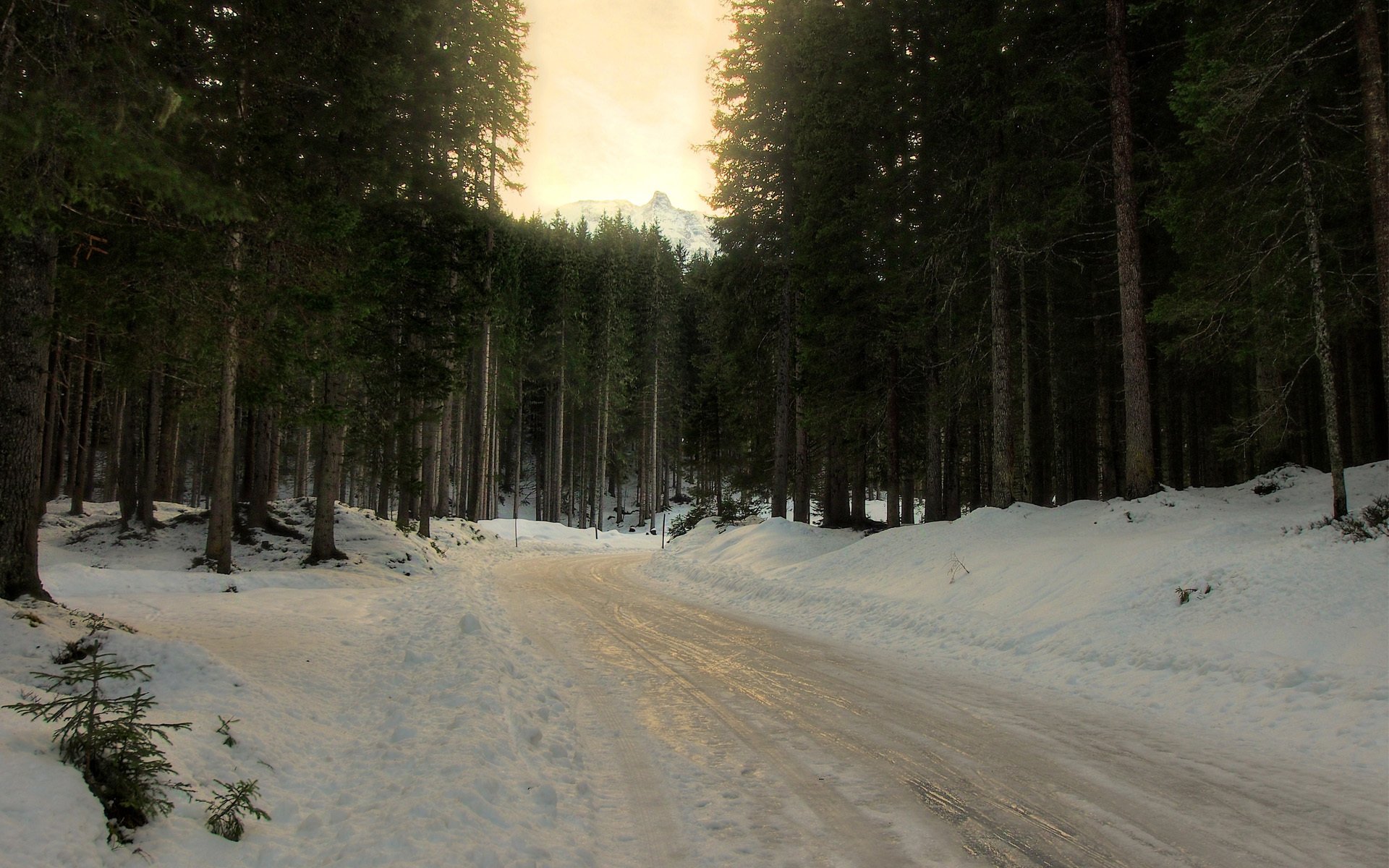 strada neve inverno foresta alberi conifere abete rosso girare fanghiglia