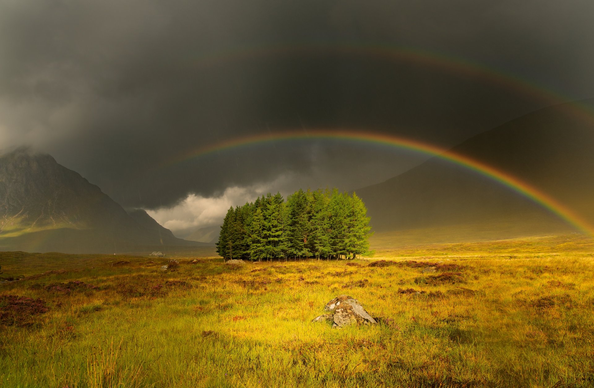 rainbow mountain tree the field