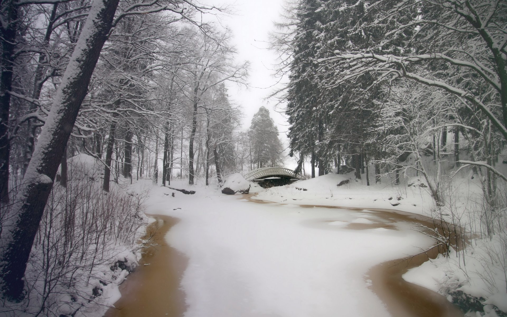 zima park rzeka most drzewa śnieg