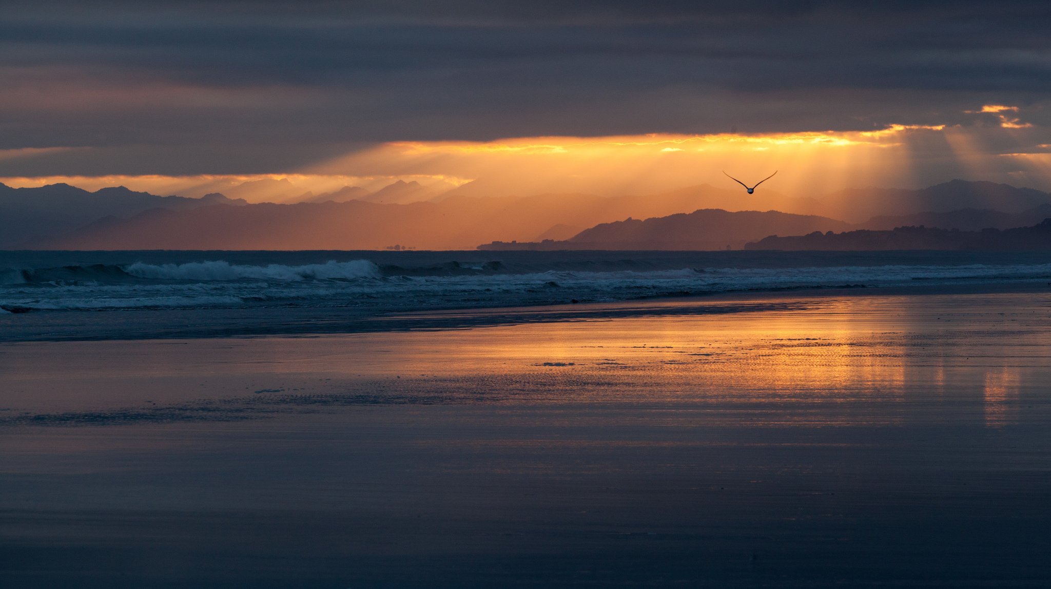 nuova zelanda costa spiaggia costa mare oceano sera tramonto arancione cielo nuvole uccello volo silhouette