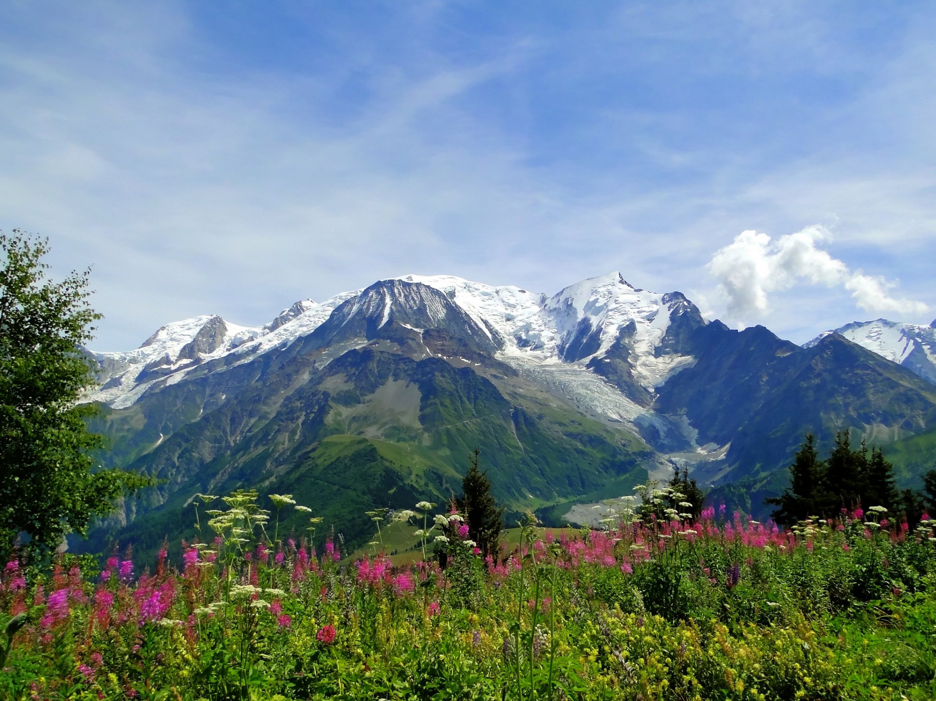 mont blanc alpy góry łąka kwiaty natura