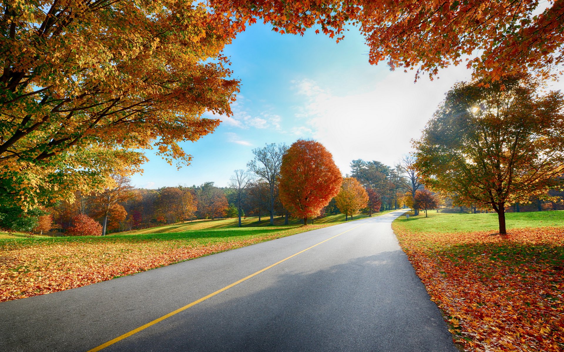 carretera otoño paisaje