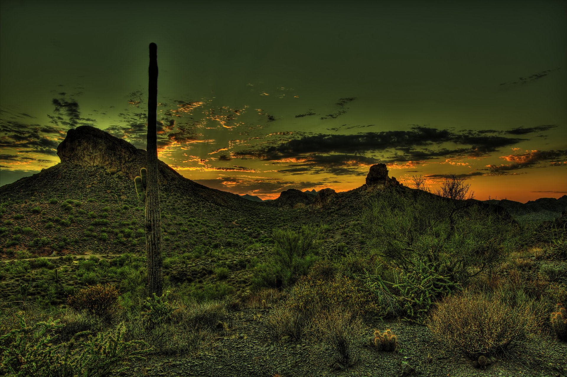 sonnenuntergang berge kaktus mexiko wüste hdr