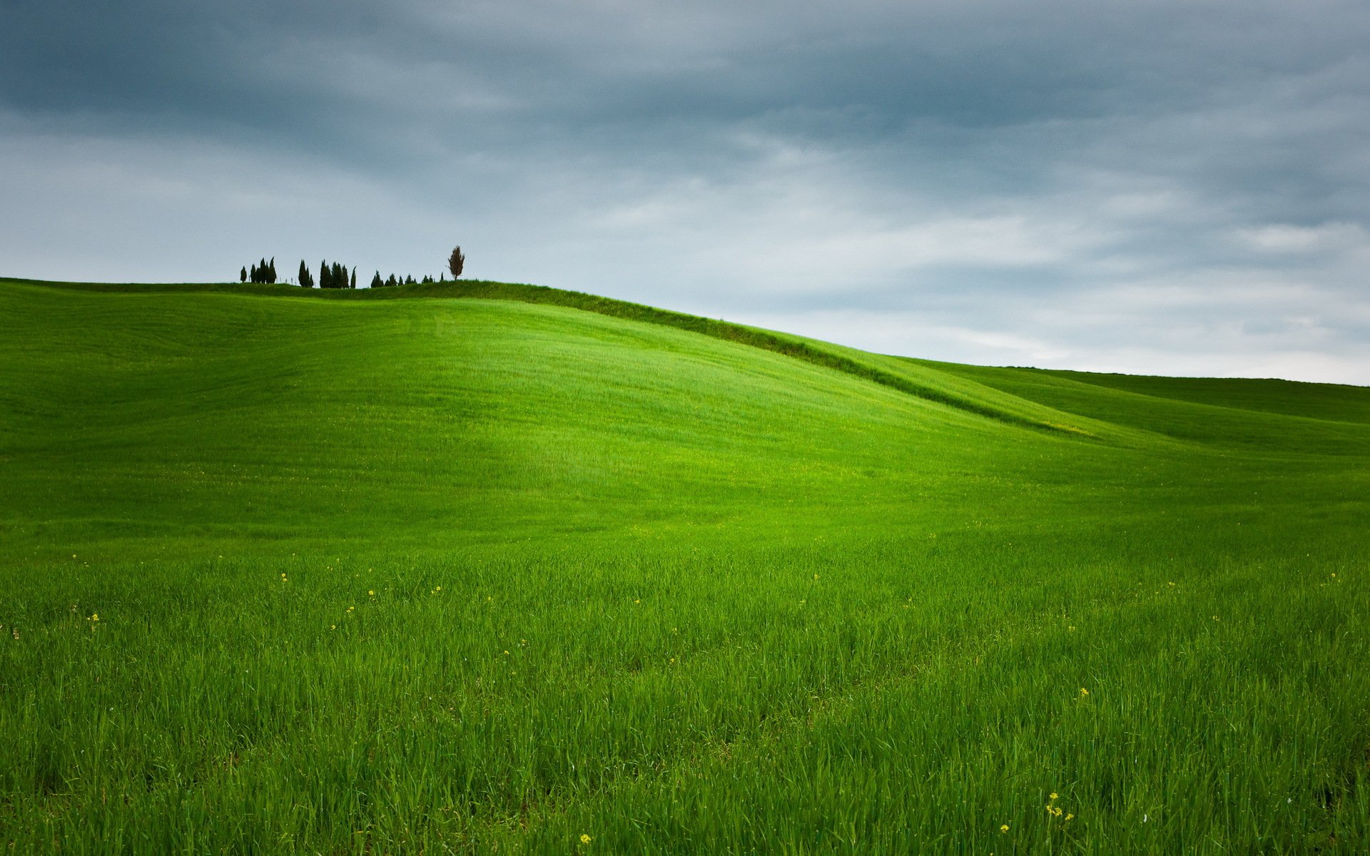 feld himmel natur landschaft