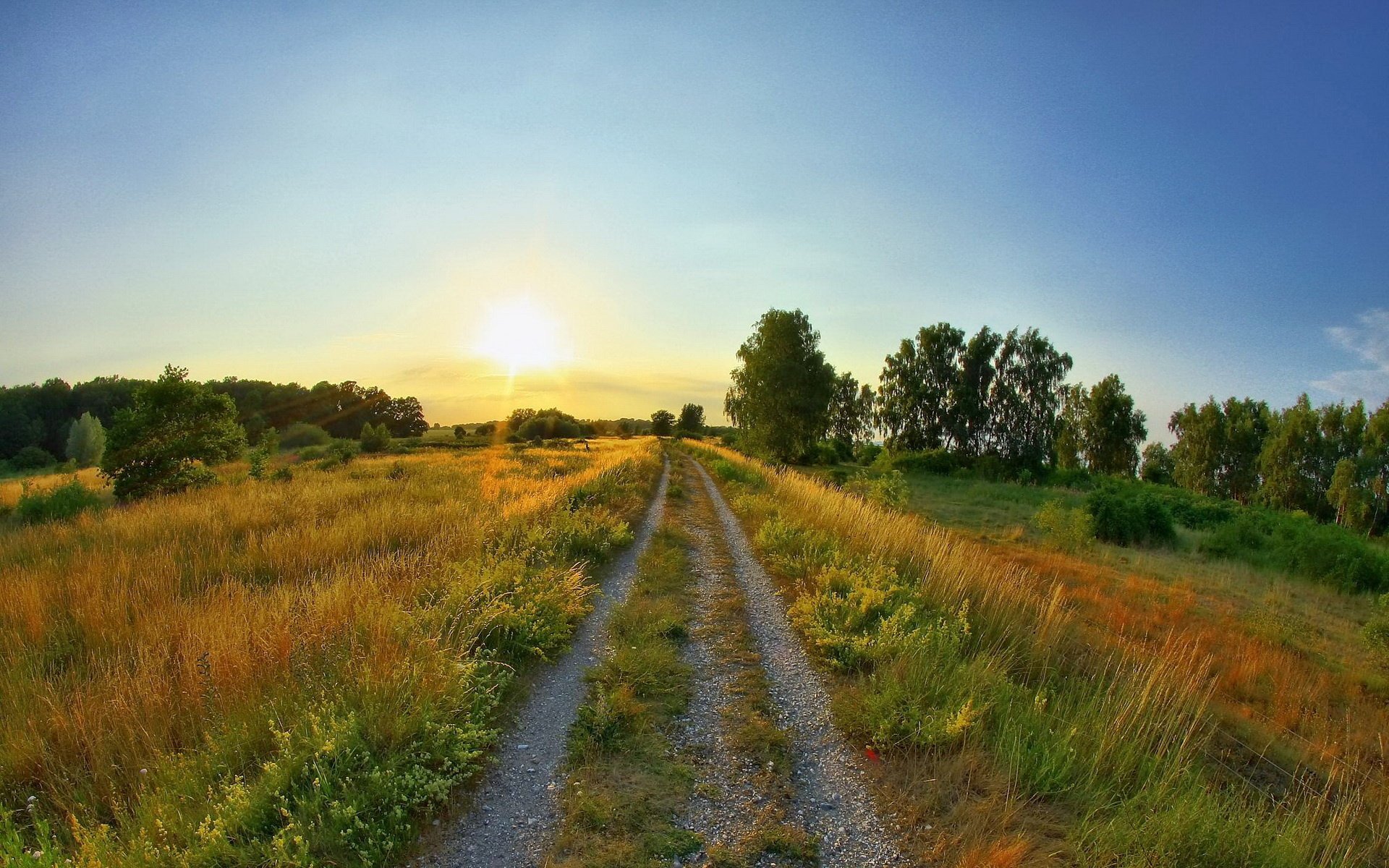 road field summer sun sunrise