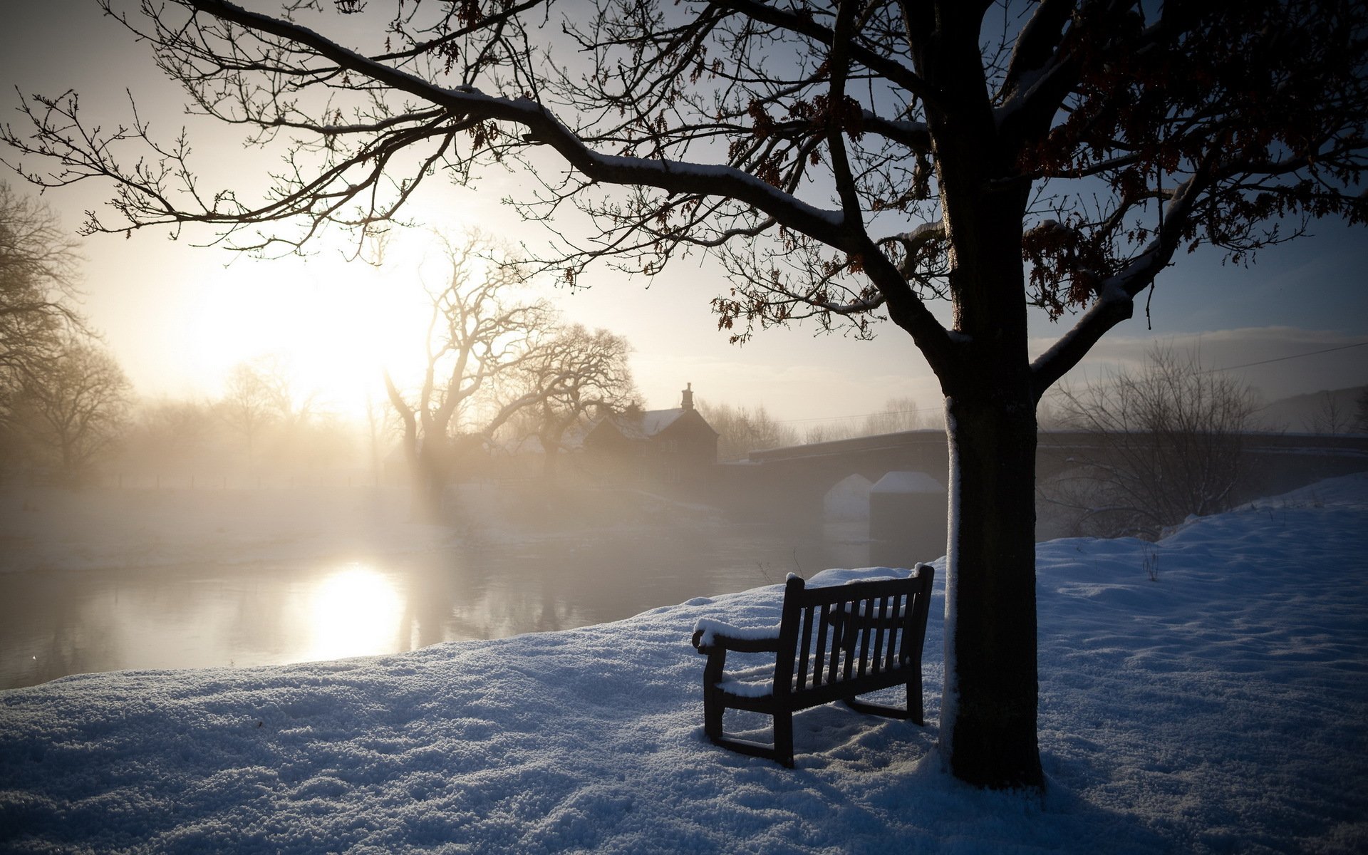 matin hiver rivière banc paysage