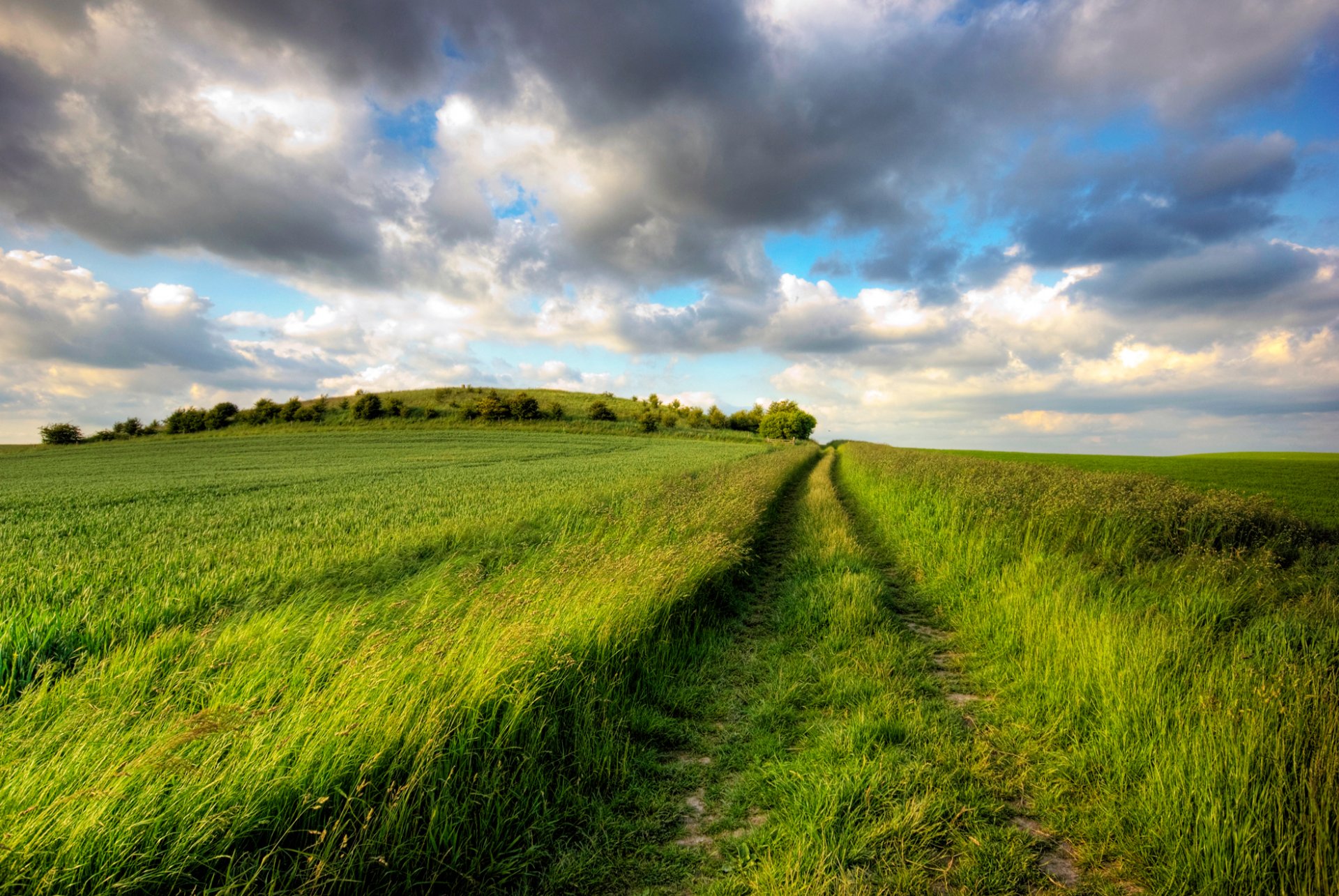 straße fußabdruck feld gras grün ebene weite ferne sommer freude tag sonne himmel wolken