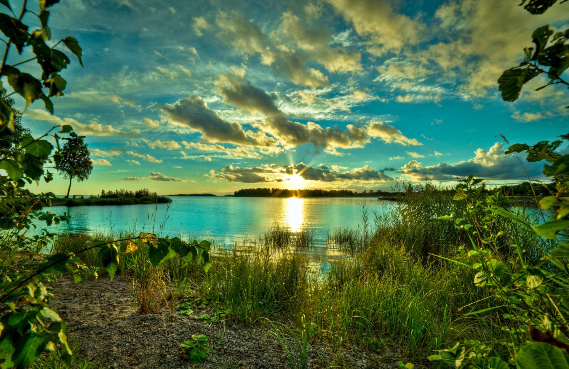 lac verdure herbe arbres nature ciel nuages aube