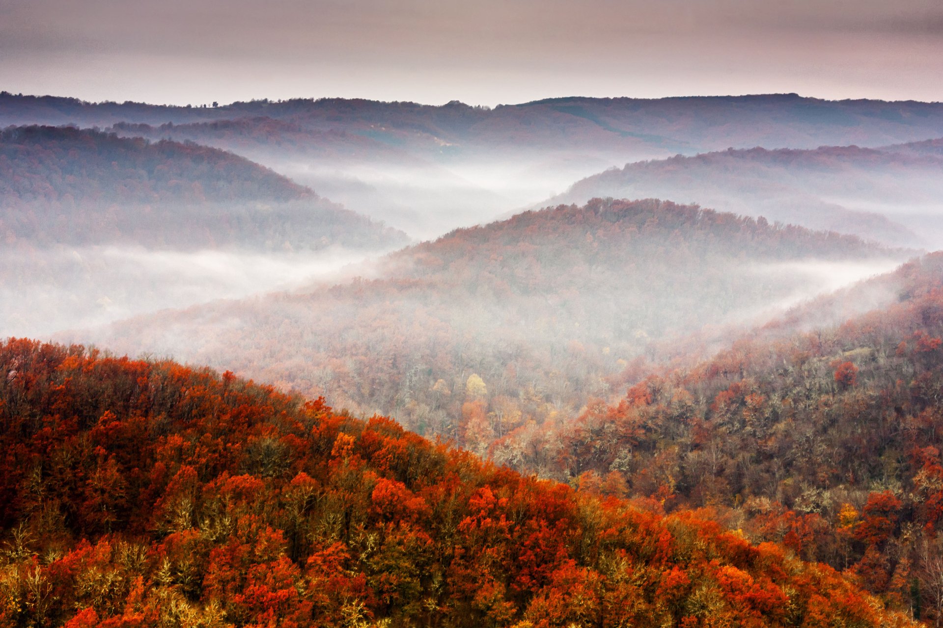 natura caduta montagna albero cielo fogliame autunno foresta