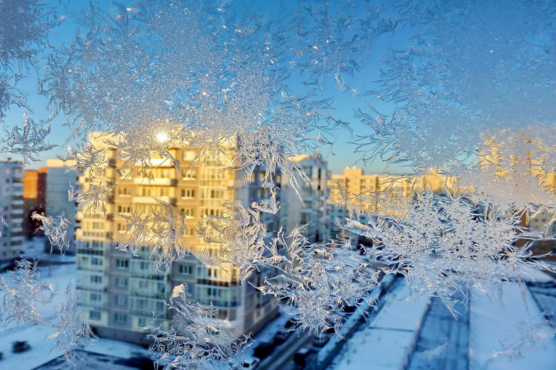 winter fenster muster frost zuhause