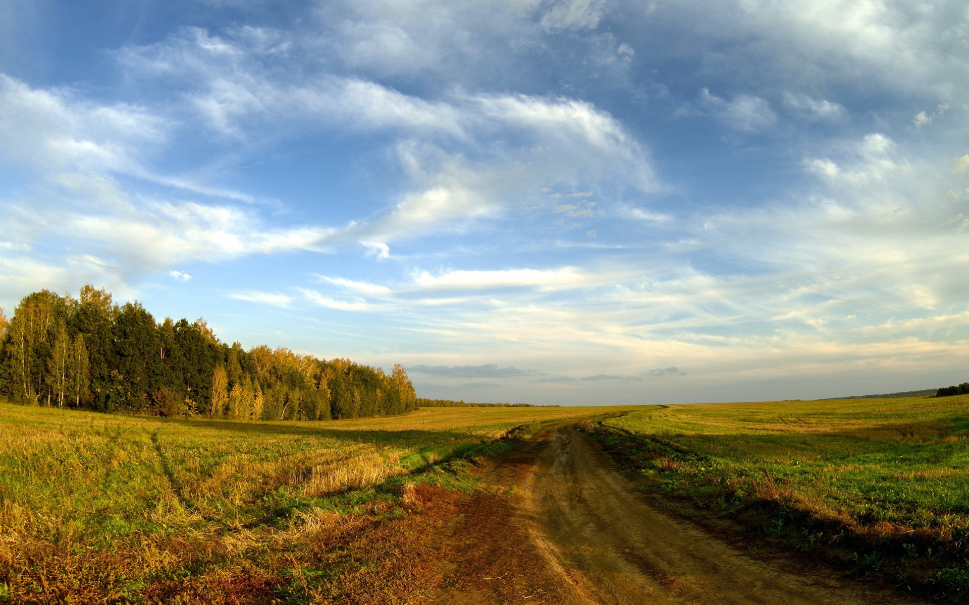 champ route automne paysage