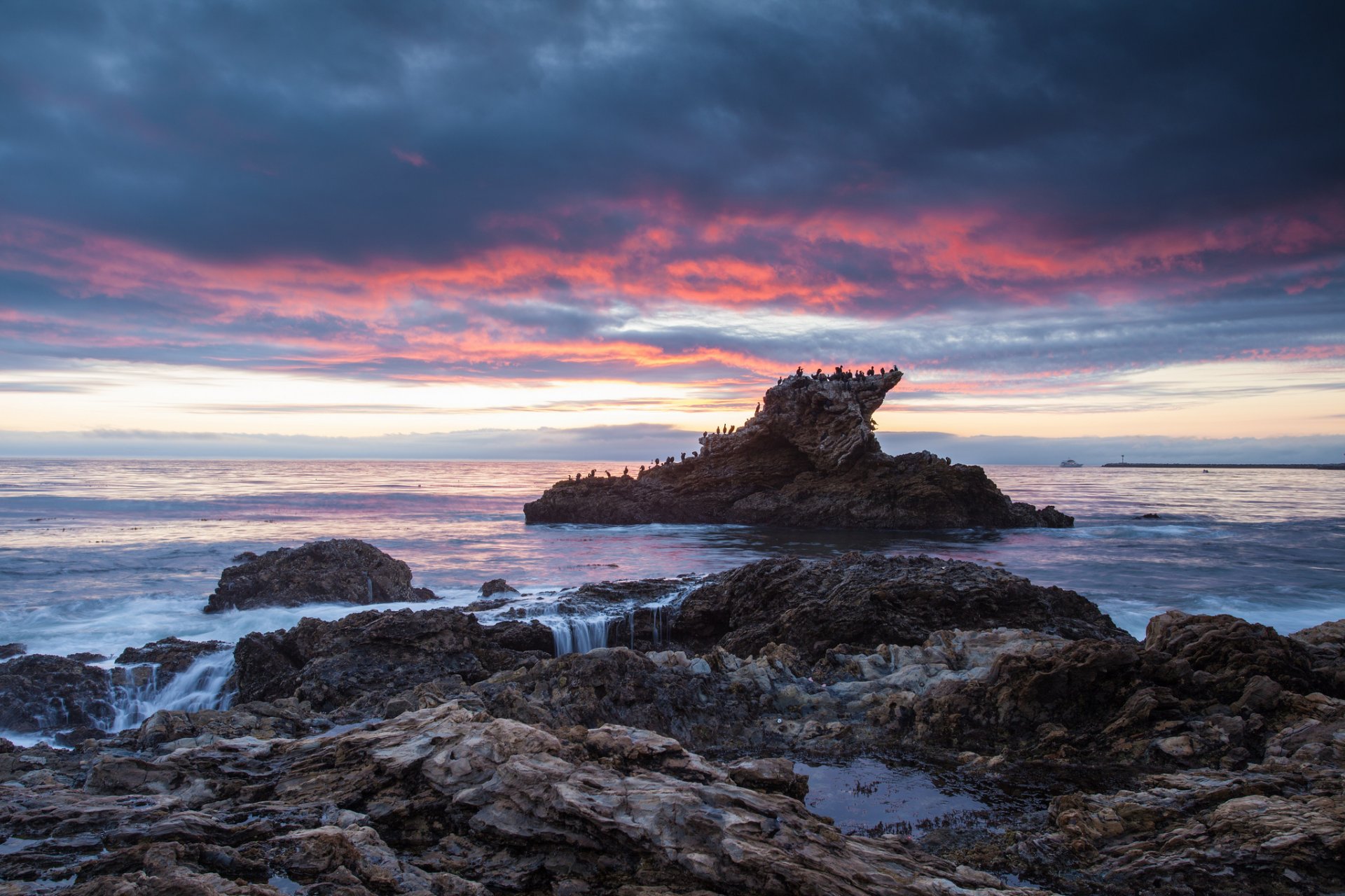 mer océan côte pierres rocher oiseaux soir coucher de soleil ciel nuages nuages