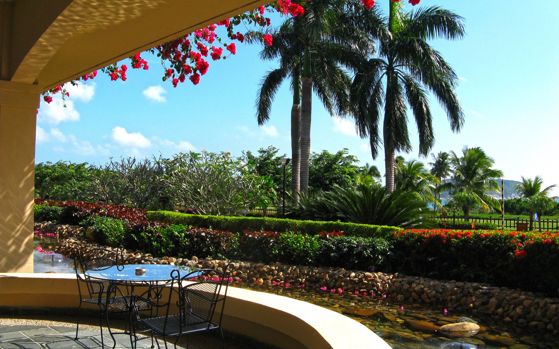 palme fiori bellissimo portico vacanze in hotel