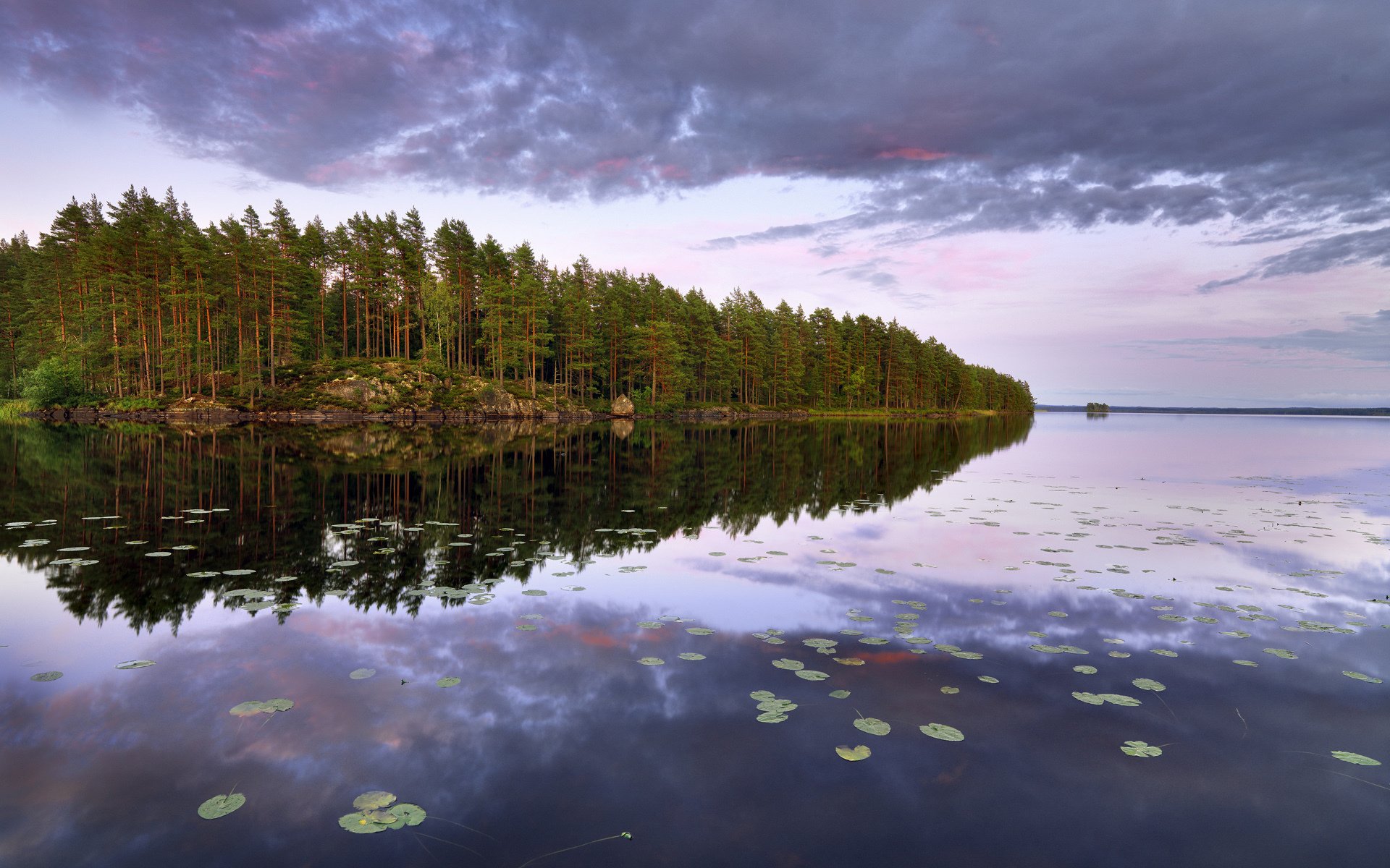 lac adolescent närke suède lac île forêt arbres