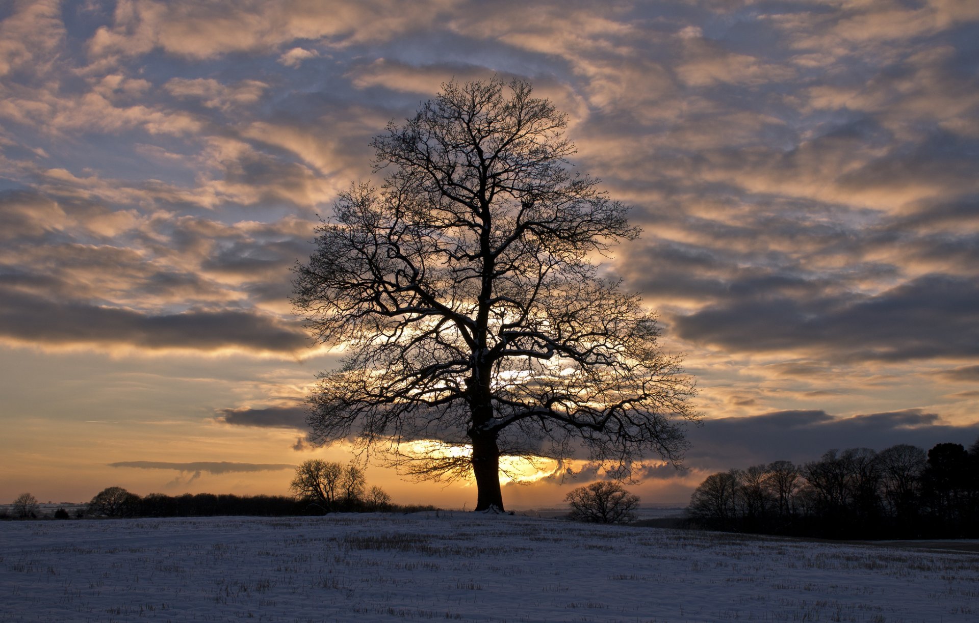 winter schnee feld bäume abend sonnenuntergang himmel wolken