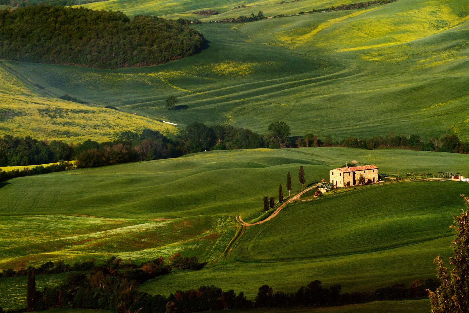 toscane champs arbres verdure