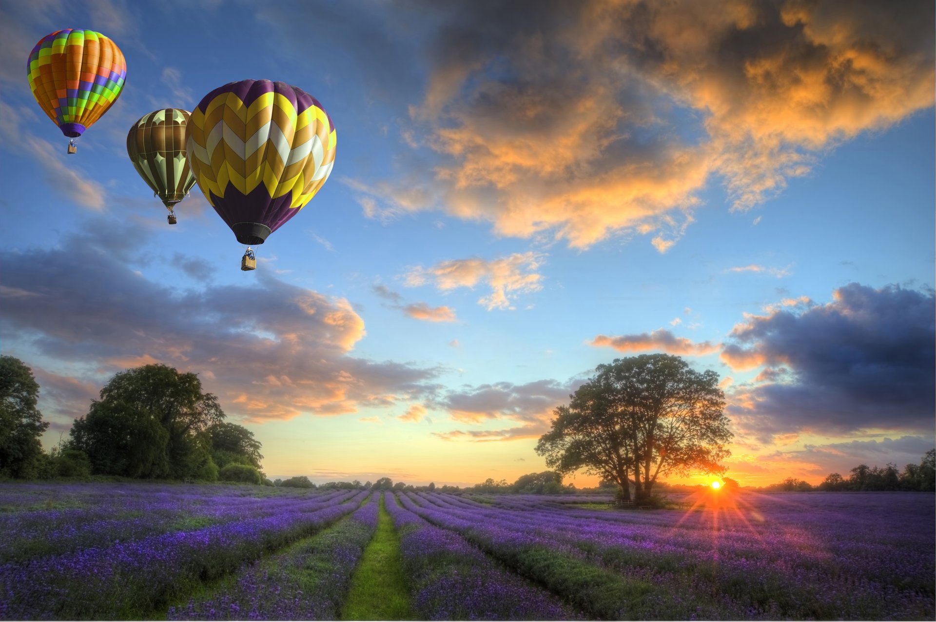 nature sky clouds sunset landscape balloons field flower