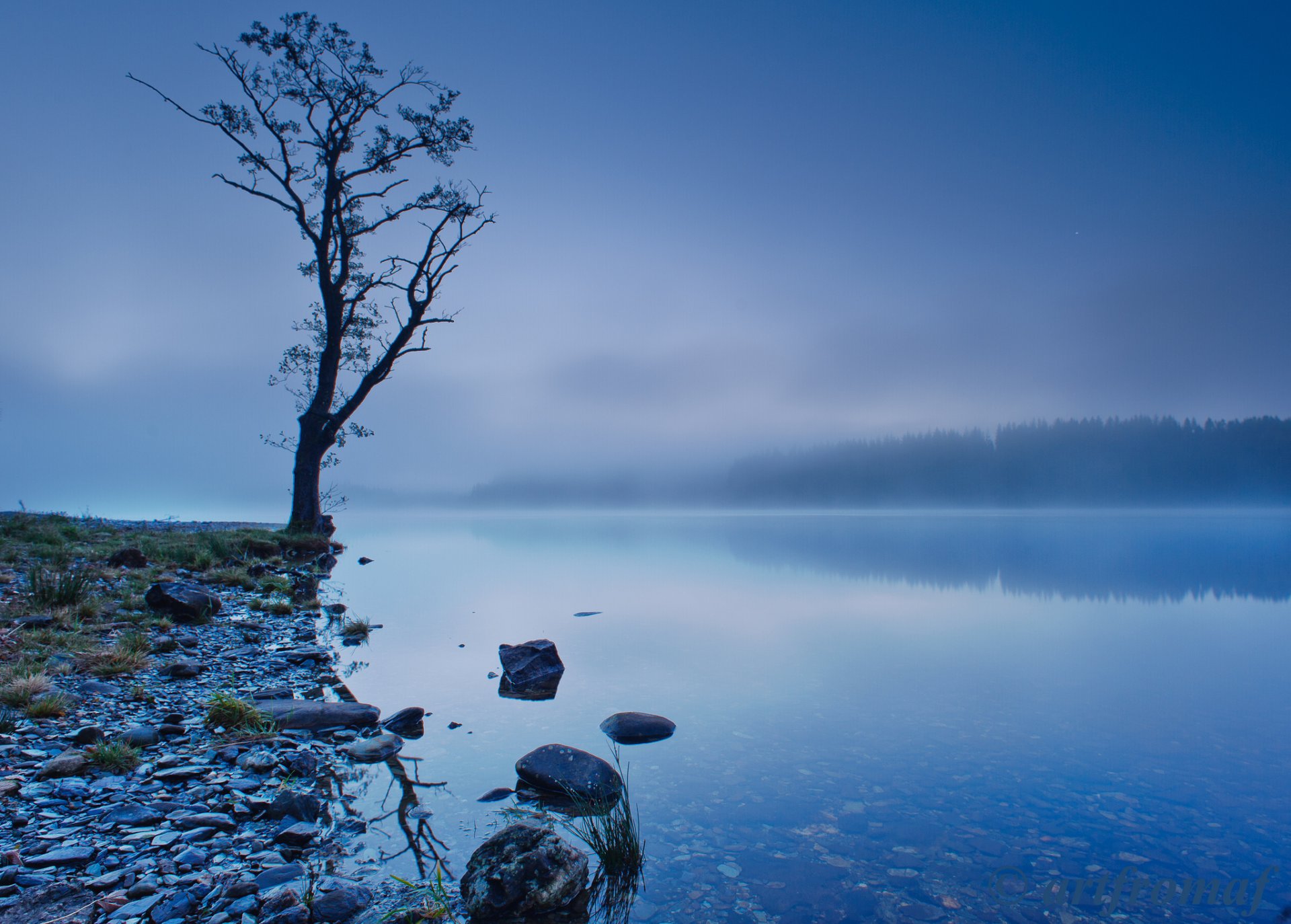 united kingdom scotland lake reflection shore tree trees forest sky fog blue