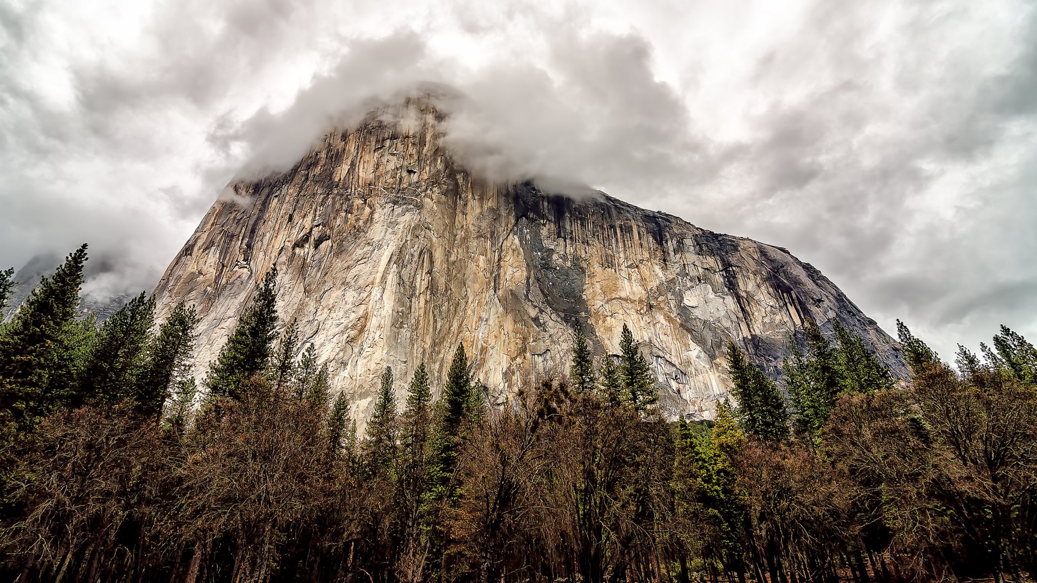 estados unidos california parque nacional de yosemite montaña roca árboles cielo nubes yosemite parque nacional roca nubes