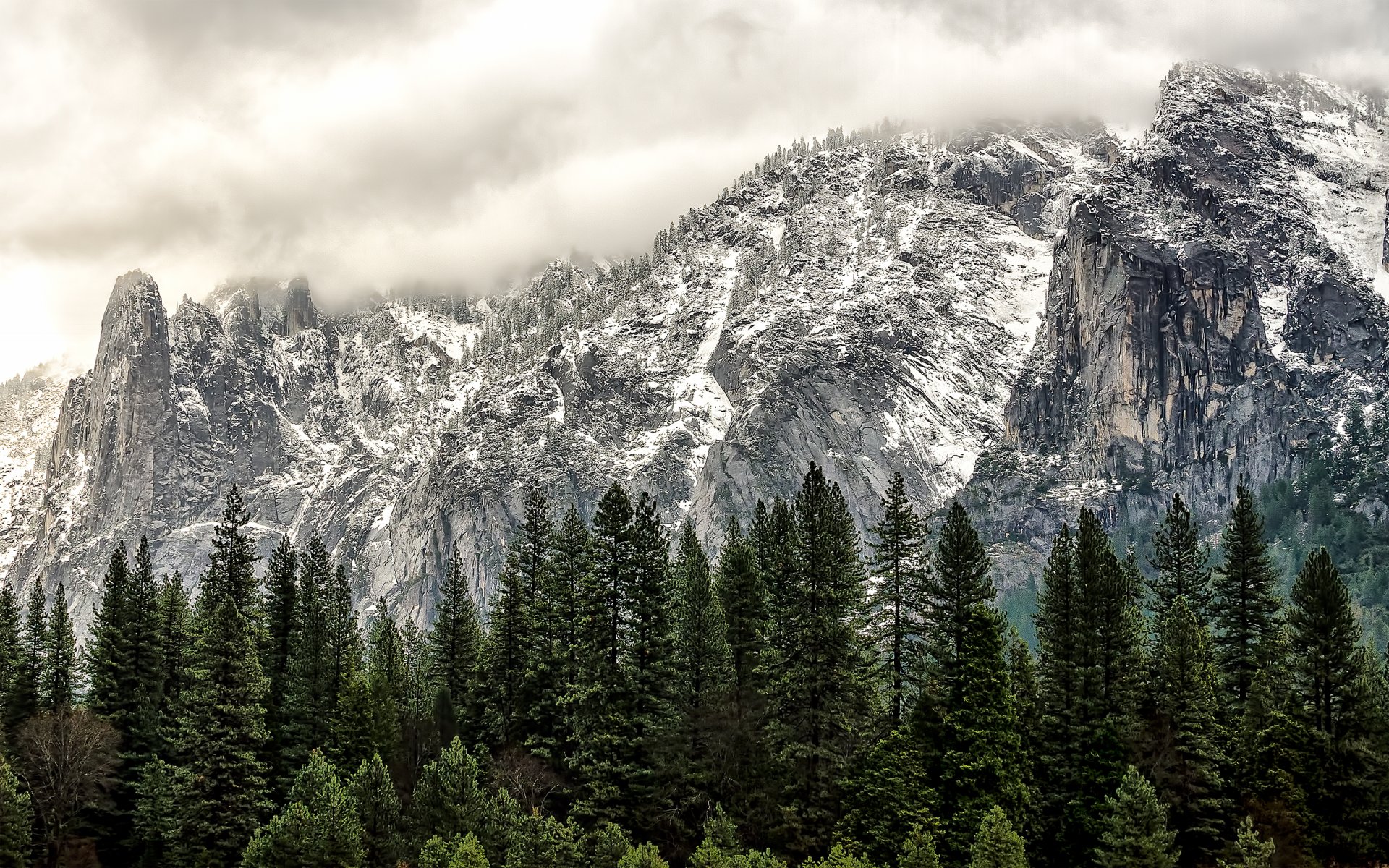 usa california yosemite national park california forest mountains winter