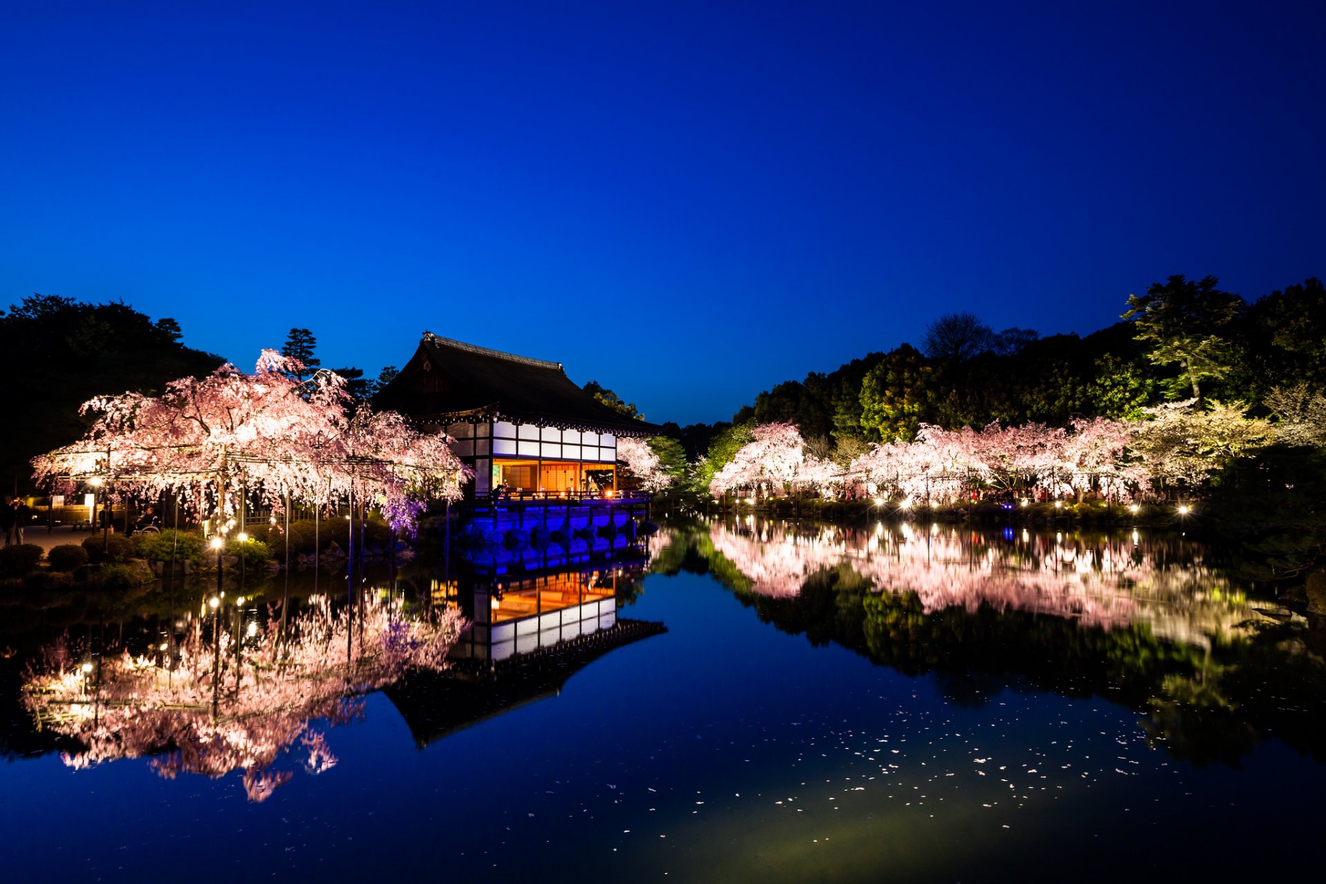 tempio heian kyoto giappone paesaggio natura giardini alberi sakura acqua riflessione sera