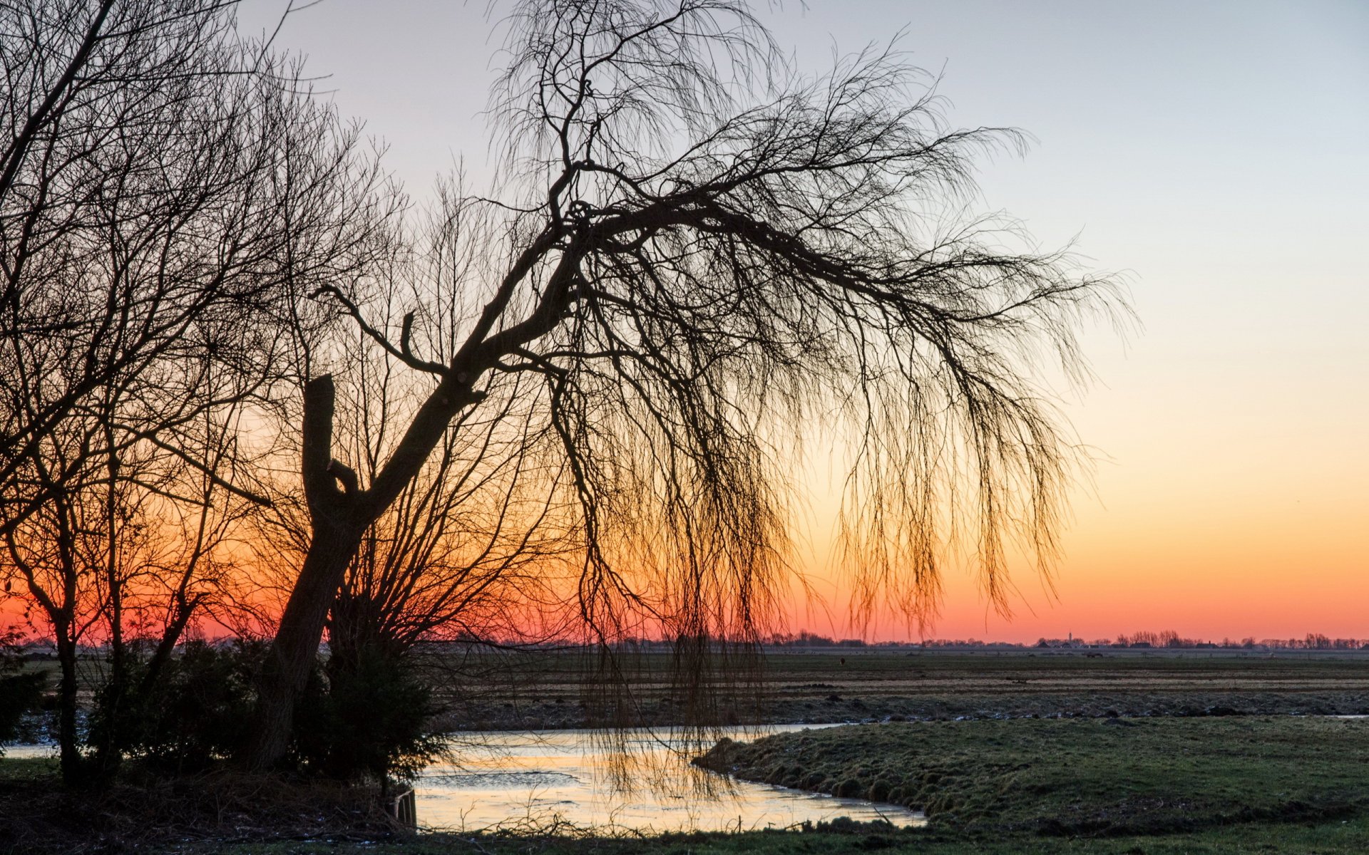 zachód słońca pole drzewo natura krajobraz