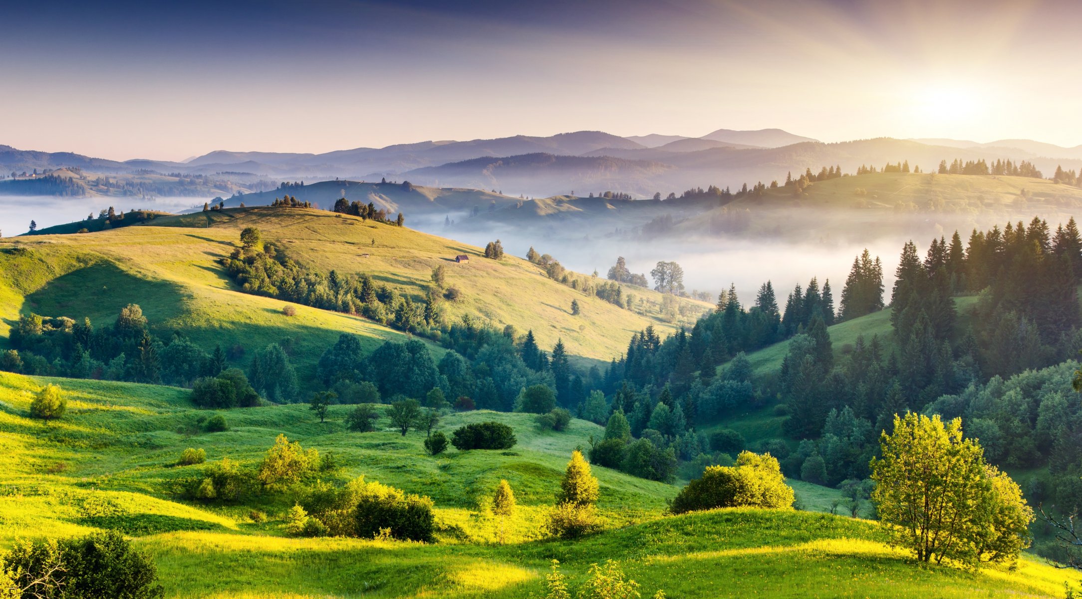 paesaggio natura colline alberi verde nebbia alba sole