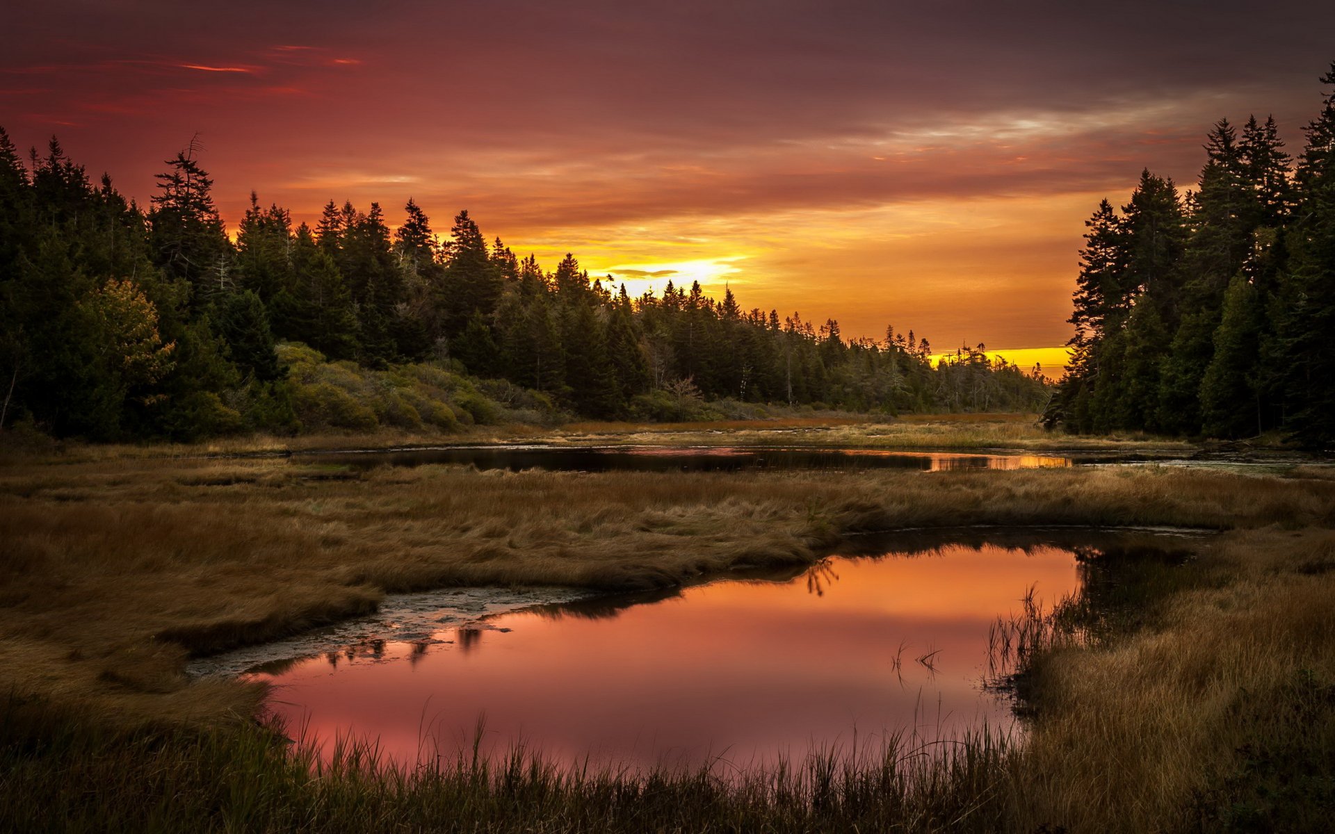 puesta de sol lago bosque paisaje